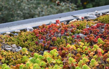 the cost of Chesterhope green roof installation